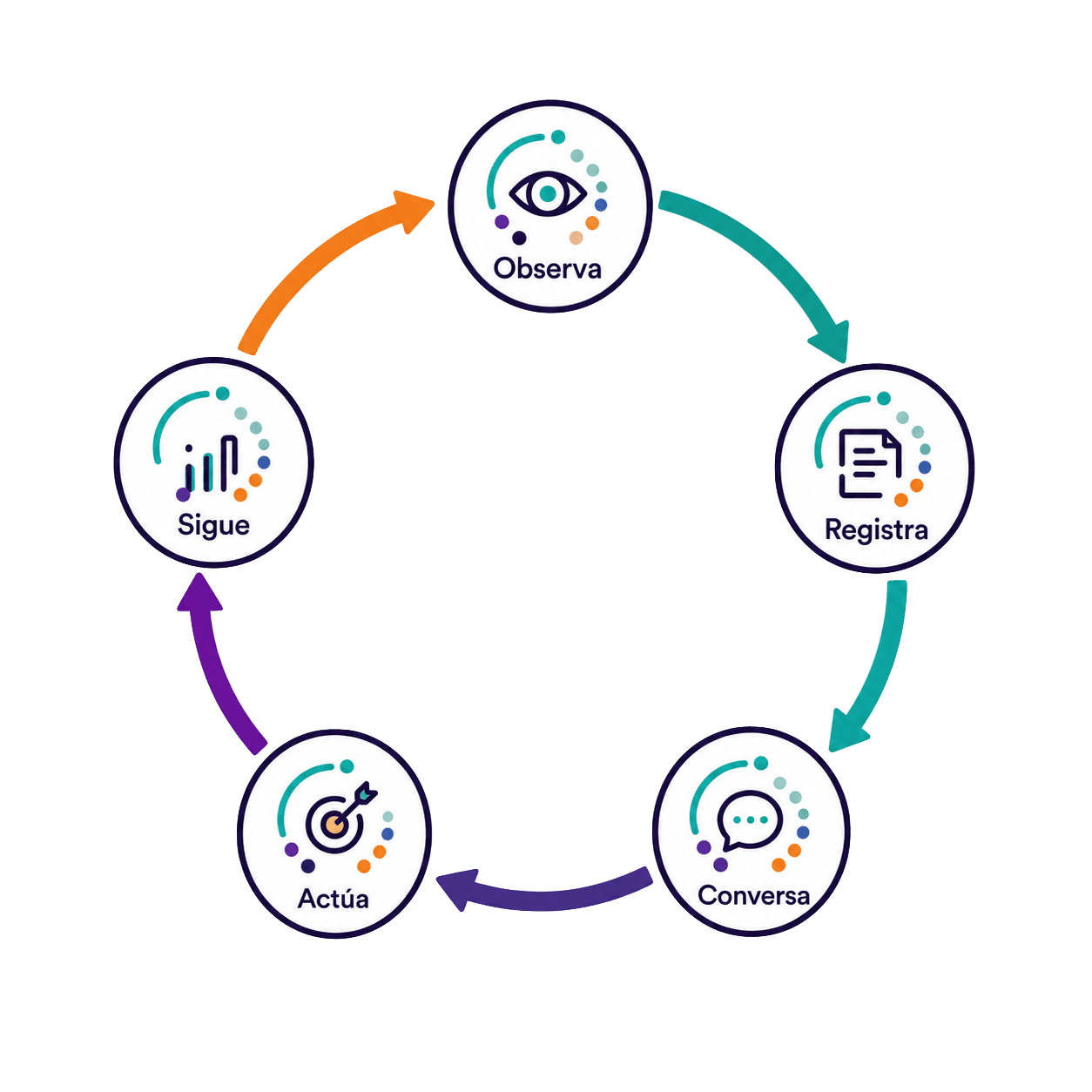 Ciclo de observación, feedback y mejora en Fidlup